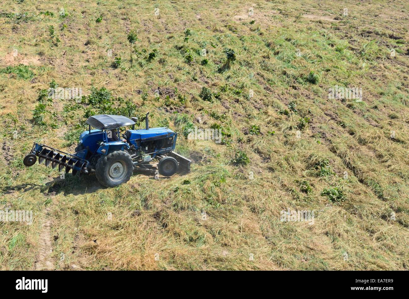 Il trattore arare i campi Foto Stock