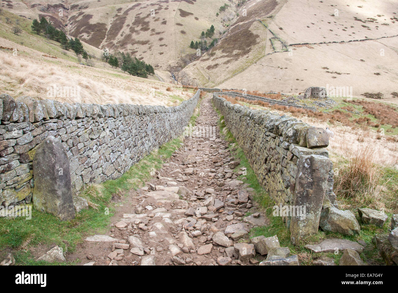 Sentiero ripido a scaletta Jacobs con muro di pietra su entrambi i lati. Edale valle del Peak District, Derbyshire Foto Stock