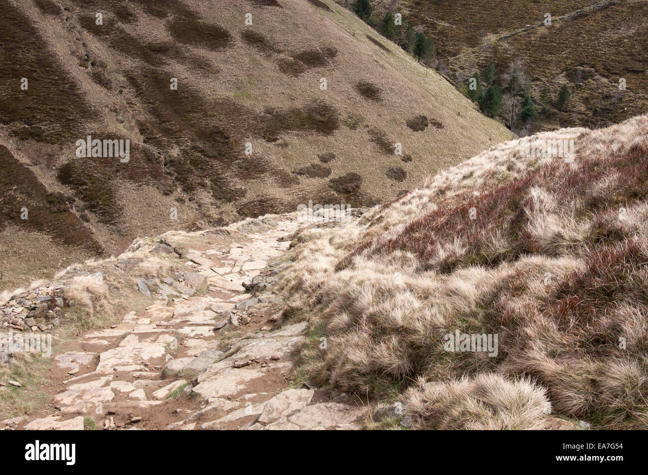 Vista di discesa lungo il ripido sentiero in scaletta Jacobs vicino a Edale nel Peak District, Derbyshire. Foto Stock