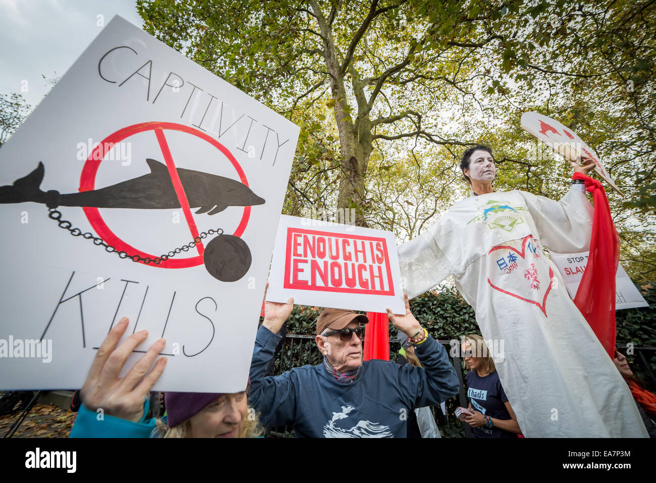 Londra, Regno Unito. 7 Nov, 2014. Protesta contro il Taiji Dolphin macellazione al di fuori dell Ambasciata Giapponese Credit: Guy Corbishley/Alamy Live News Foto Stock