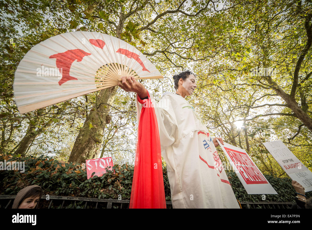 Londra, Regno Unito. 7 Nov, 2014. Protesta contro il Taiji Dolphin macellazione al di fuori dell Ambasciata Giapponese Credit: Guy Corbishley/Alamy Live News Foto Stock