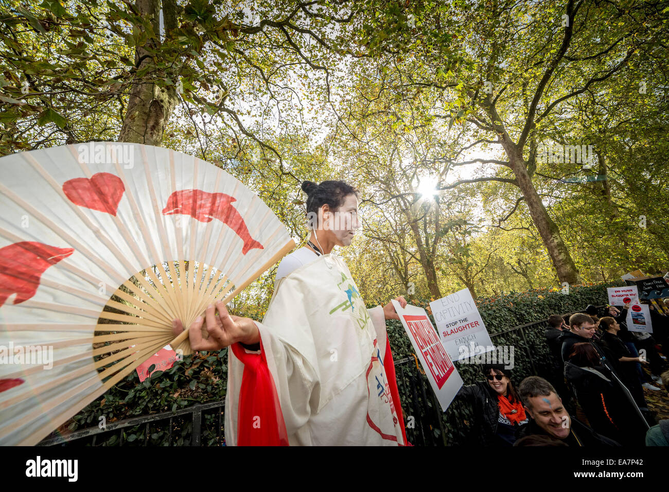 Londra, Regno Unito. 7 Nov, 2014. Protesta contro il Taiji Dolphin macellazione al di fuori dell Ambasciata Giapponese Credit: Guy Corbishley/Alamy Live News Foto Stock