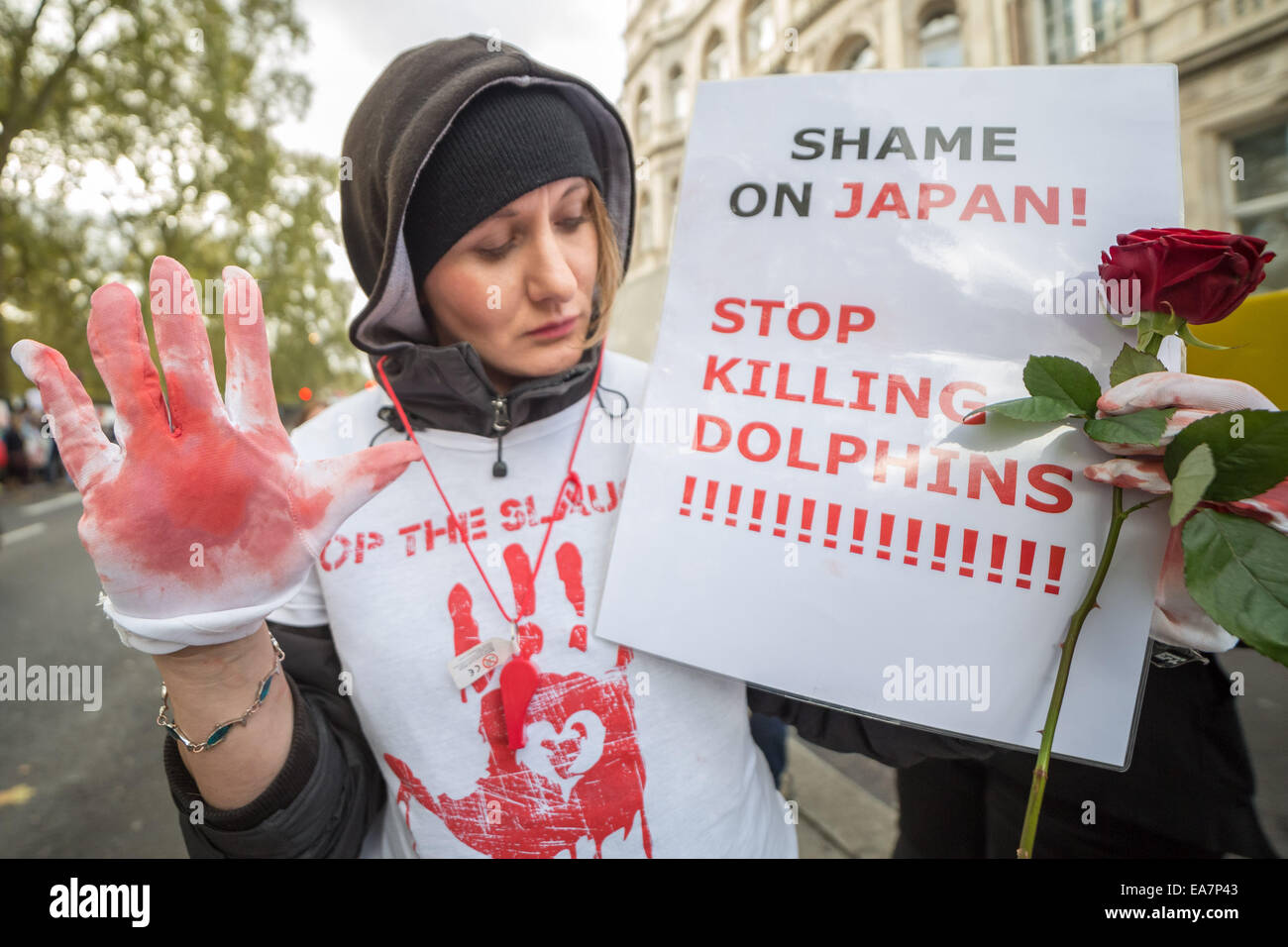 Londra, Regno Unito. 7 Nov, 2014. Protesta contro il Taiji Dolphin macellazione al di fuori dell Ambasciata Giapponese Credit: Guy Corbishley/Alamy Live News Foto Stock