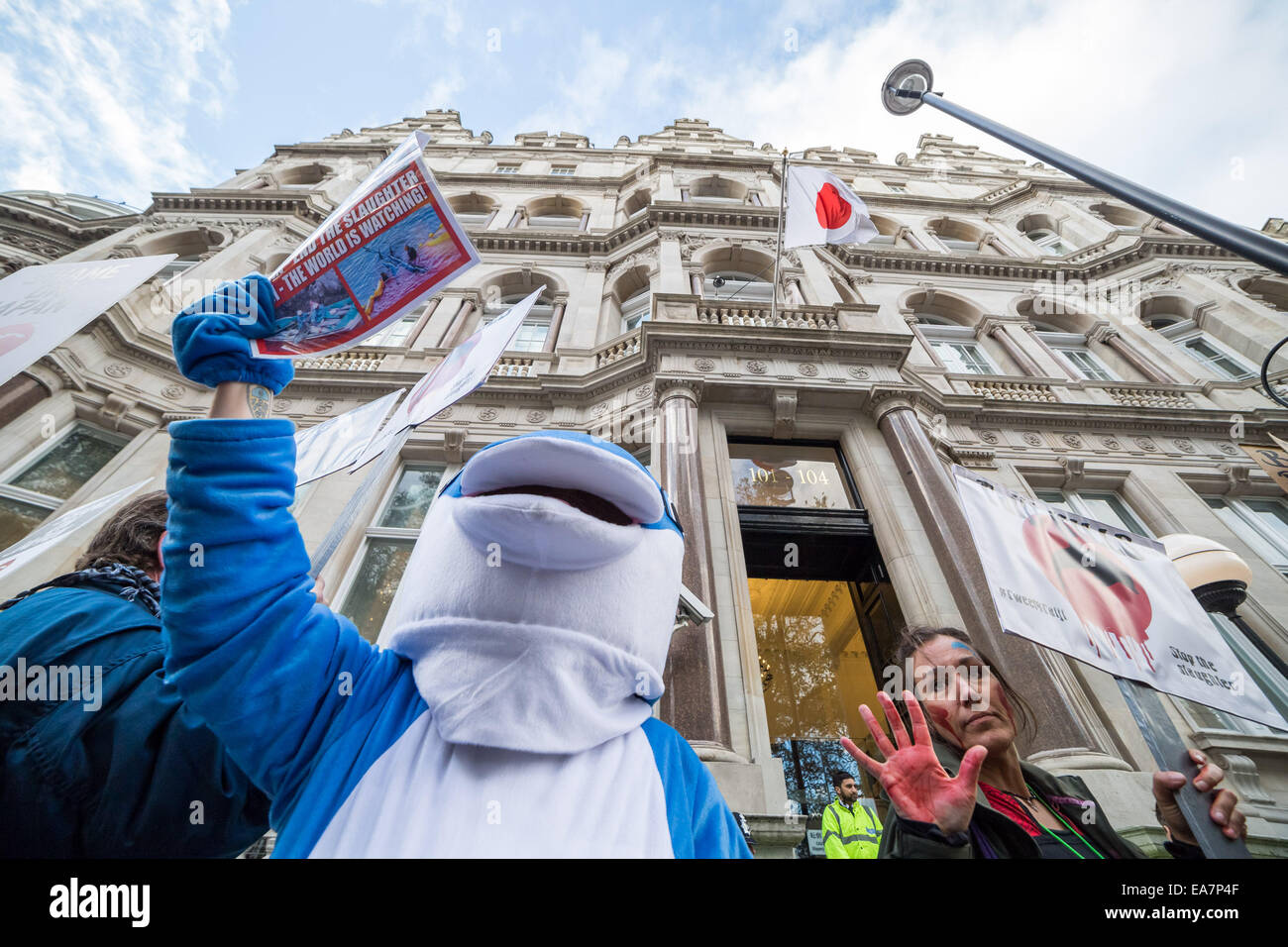 Londra, Regno Unito. 7 Nov, 2014. Protesta contro il Taiji Dolphin macellazione al di fuori dell Ambasciata Giapponese Credit: Guy Corbishley/Alamy Live News Foto Stock