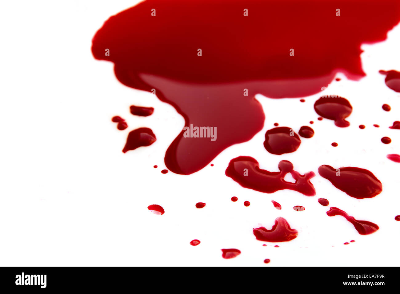 Macchie di sangue (puddle) isolato su sfondo bianco close up, orizzontale Foto Stock