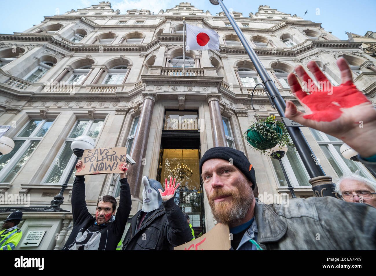 Londra, Regno Unito. 7 Nov, 2014. Protesta contro il Taiji Dolphin macellazione al di fuori dell Ambasciata Giapponese Credit: Guy Corbishley/Alamy Live News Foto Stock