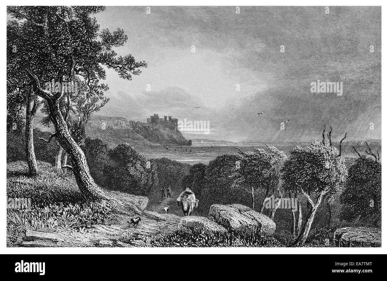 Harlech Castle veduta distante circa 1830 Foto Stock