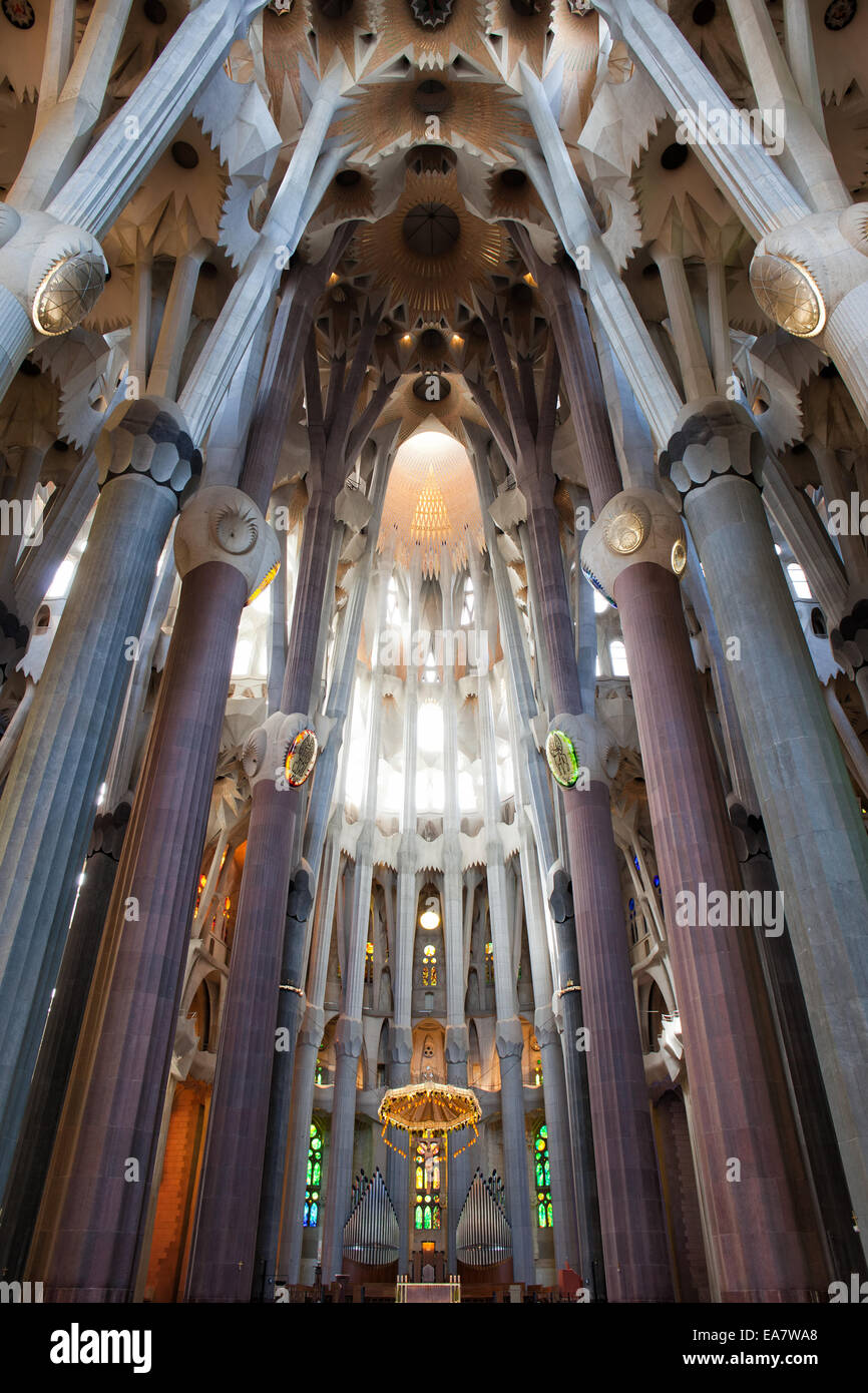 La Sagrada Familia basilica interno a Barcellona, in Catalogna, Spagna. Foto Stock