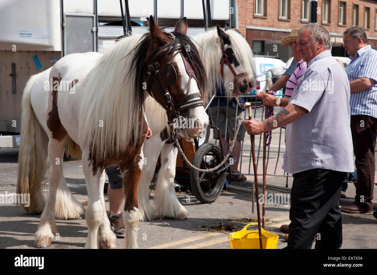 Il Appleby Horse Fair, Appleby-In-Westmorland, Cumbria, England, Regno Unito Foto Stock