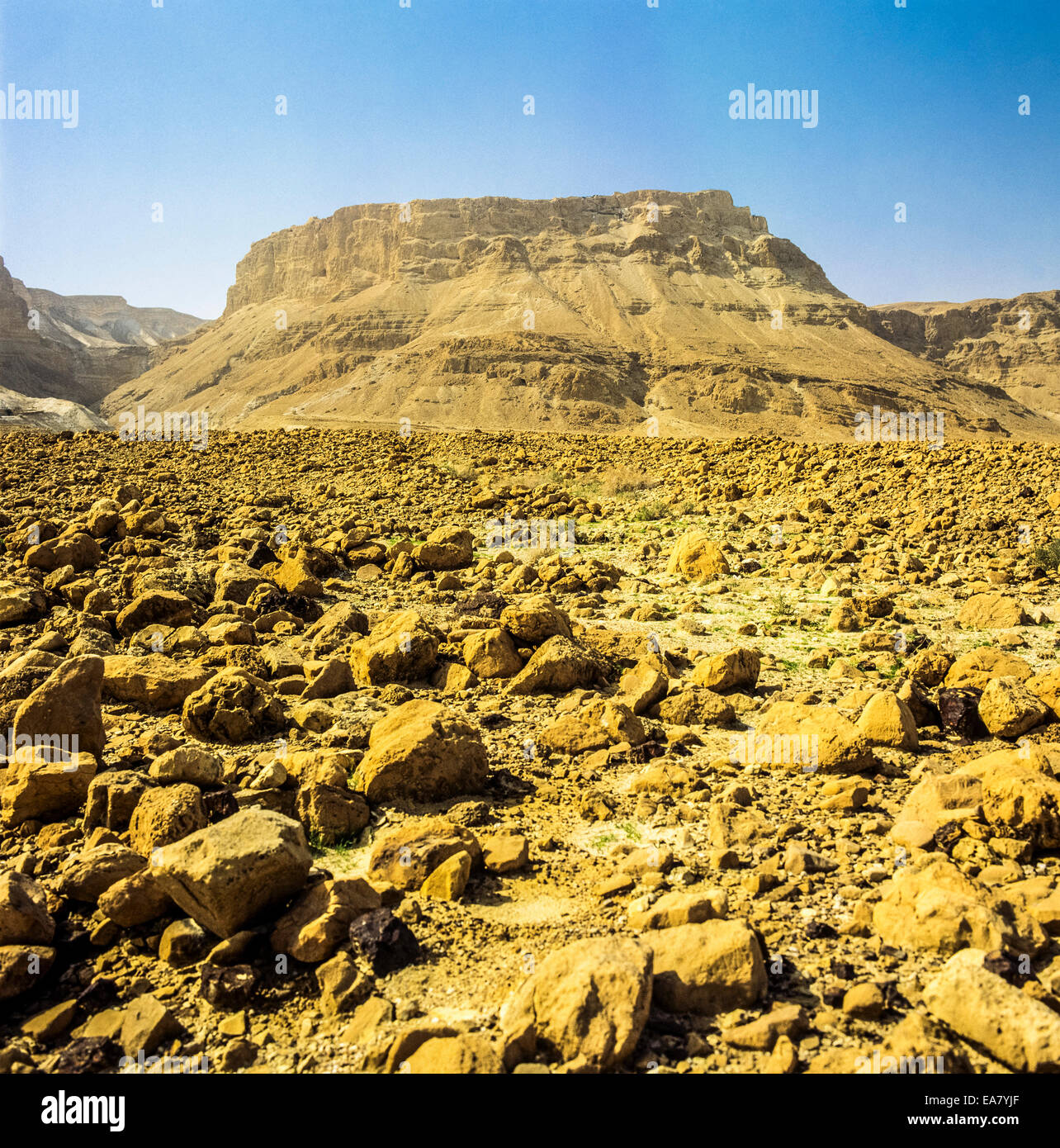 Masada rock deserto della Giudea area del Mar Morto Israele Foto Stock