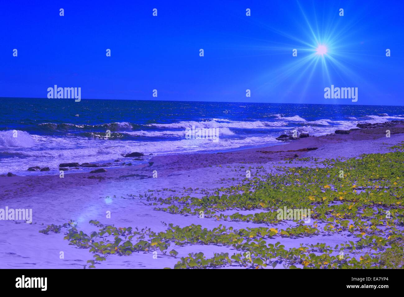 Serata di burst di stelle sulla spiaggia Foto Stock