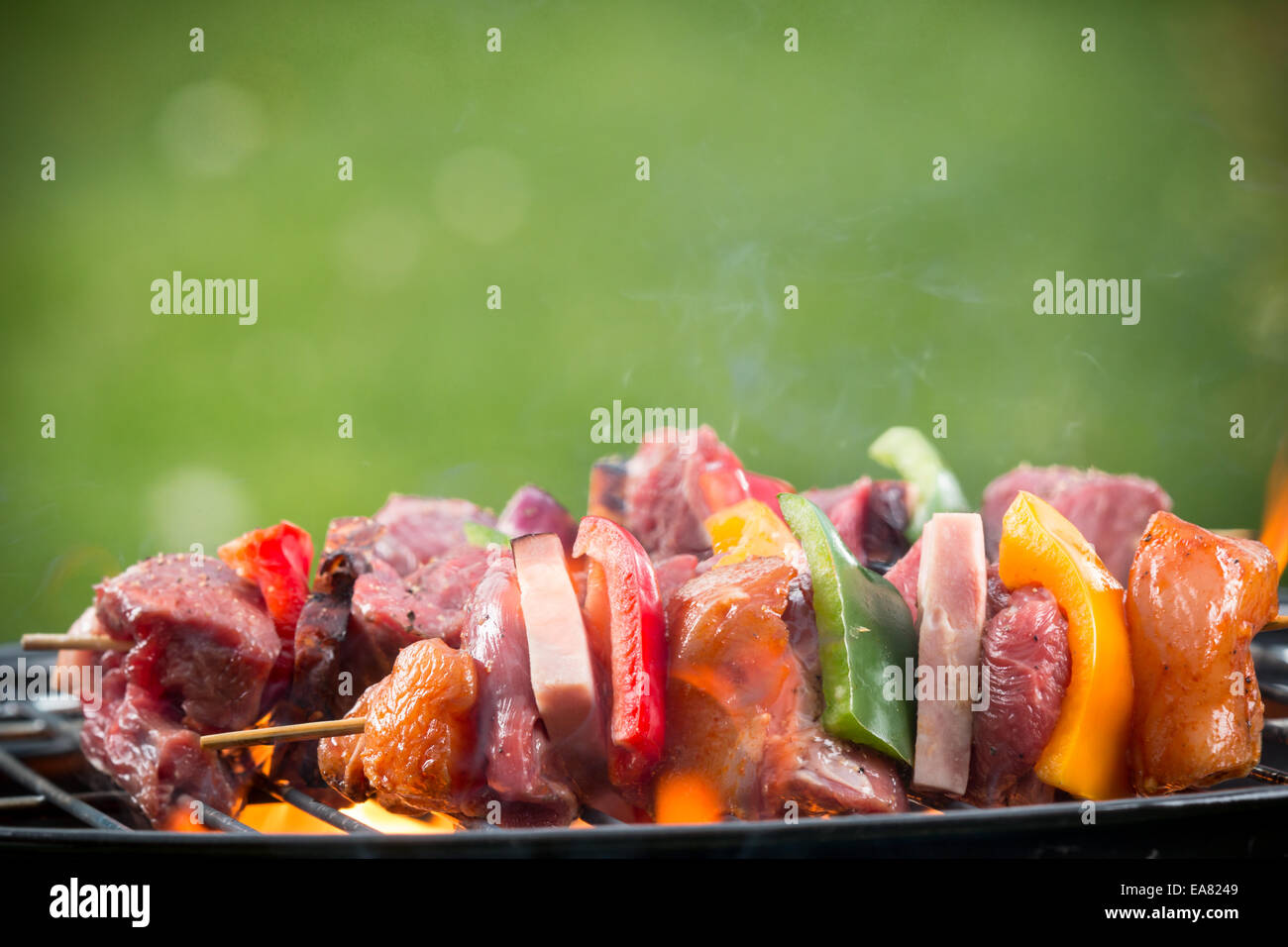 Deliziose grigliate di carne spiedini sul fuoco Foto Stock