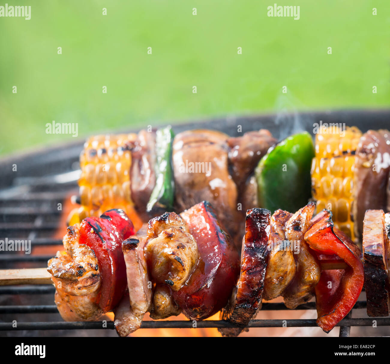 Deliziose grigliate di carne spiedini sul fuoco Foto Stock