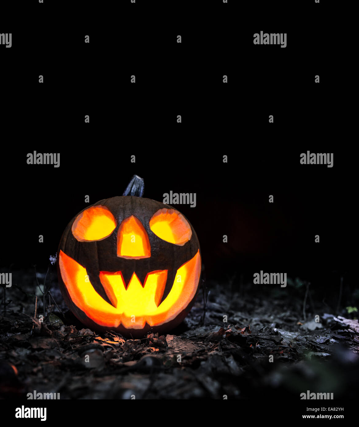 La masterizzazione del male la zucca di Halloween con sfondo scuro Foto Stock