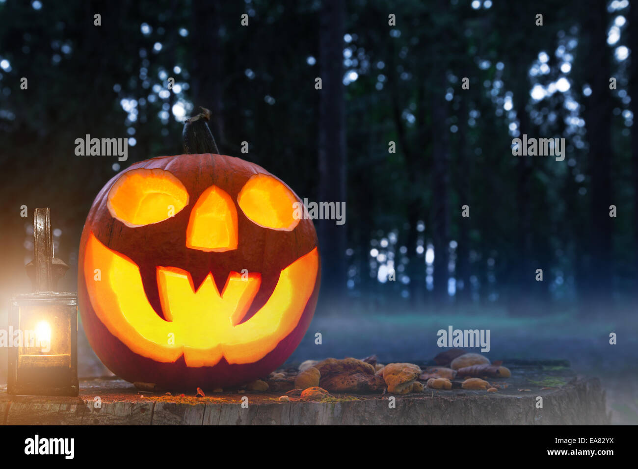 Masterizzazione di zucca di Halloween in foresta Foto Stock