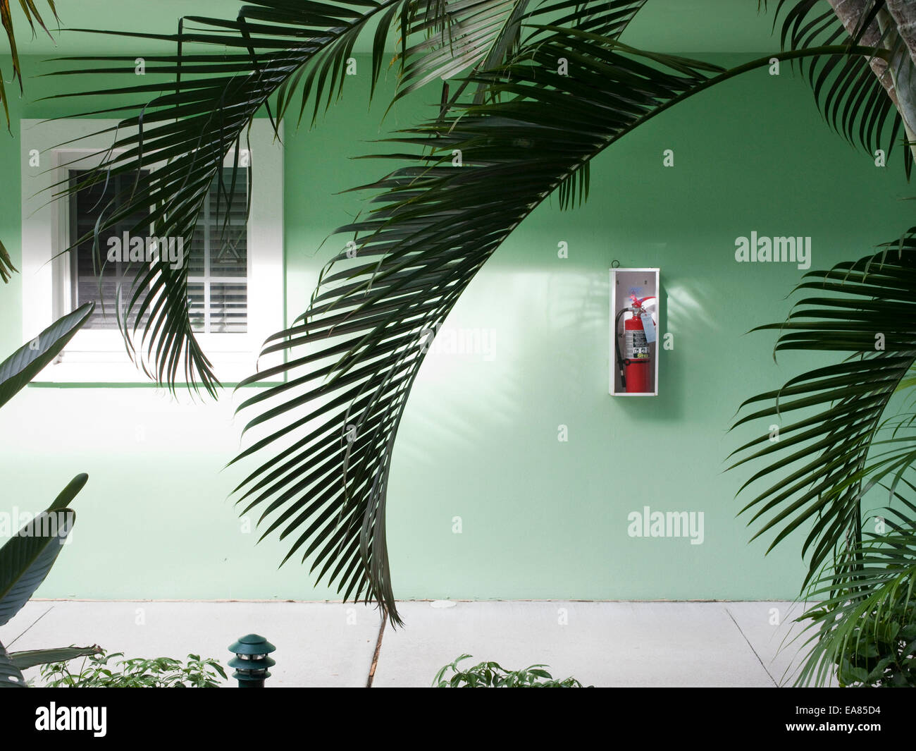 Palm Tree e green hotel in un ambiente tropicale Foto Stock