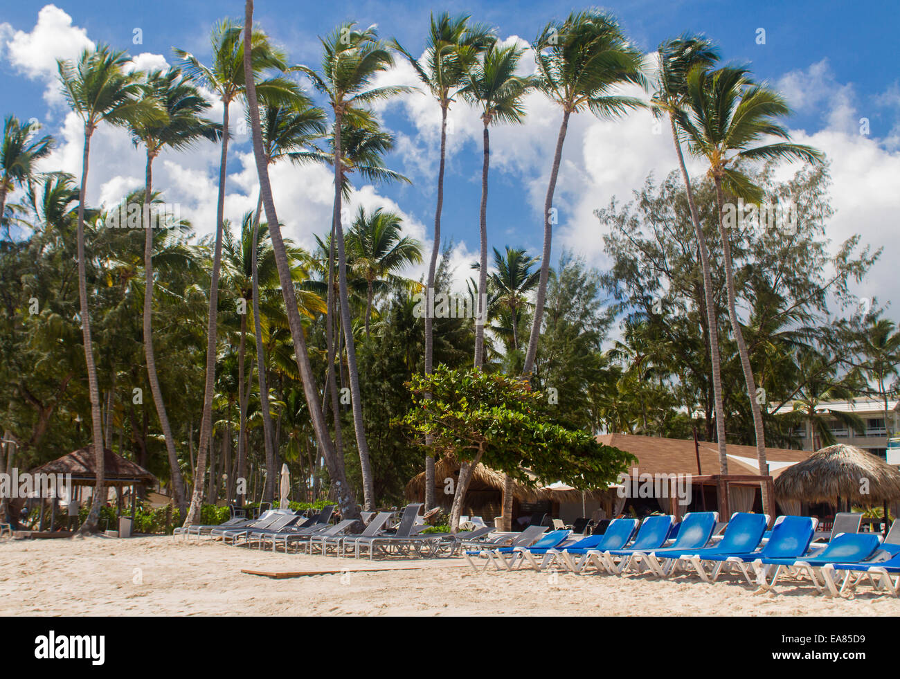 Tropical Beach in Punta Cana Repubblica Dominicana Foto Stock