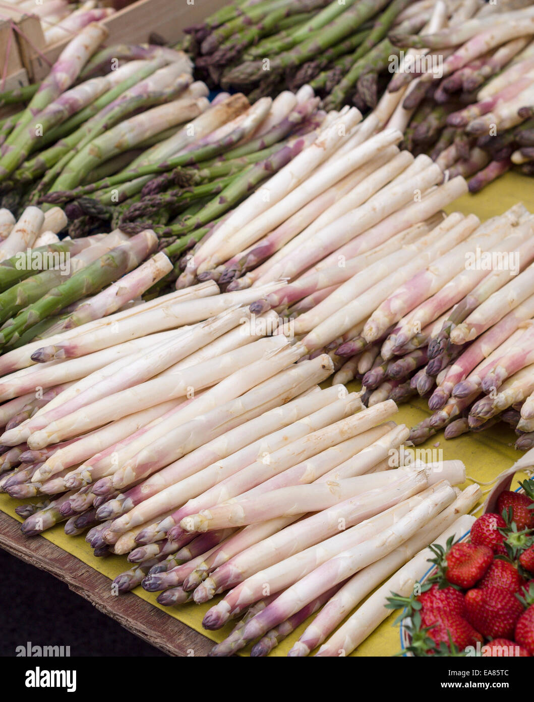 Gli asparagi bianchi e verdi a mercato. Una tabella di mercato coperto con prodotti freschi asparagi germogli perlopiù bianco,ma pochi troppo verde. Foto Stock