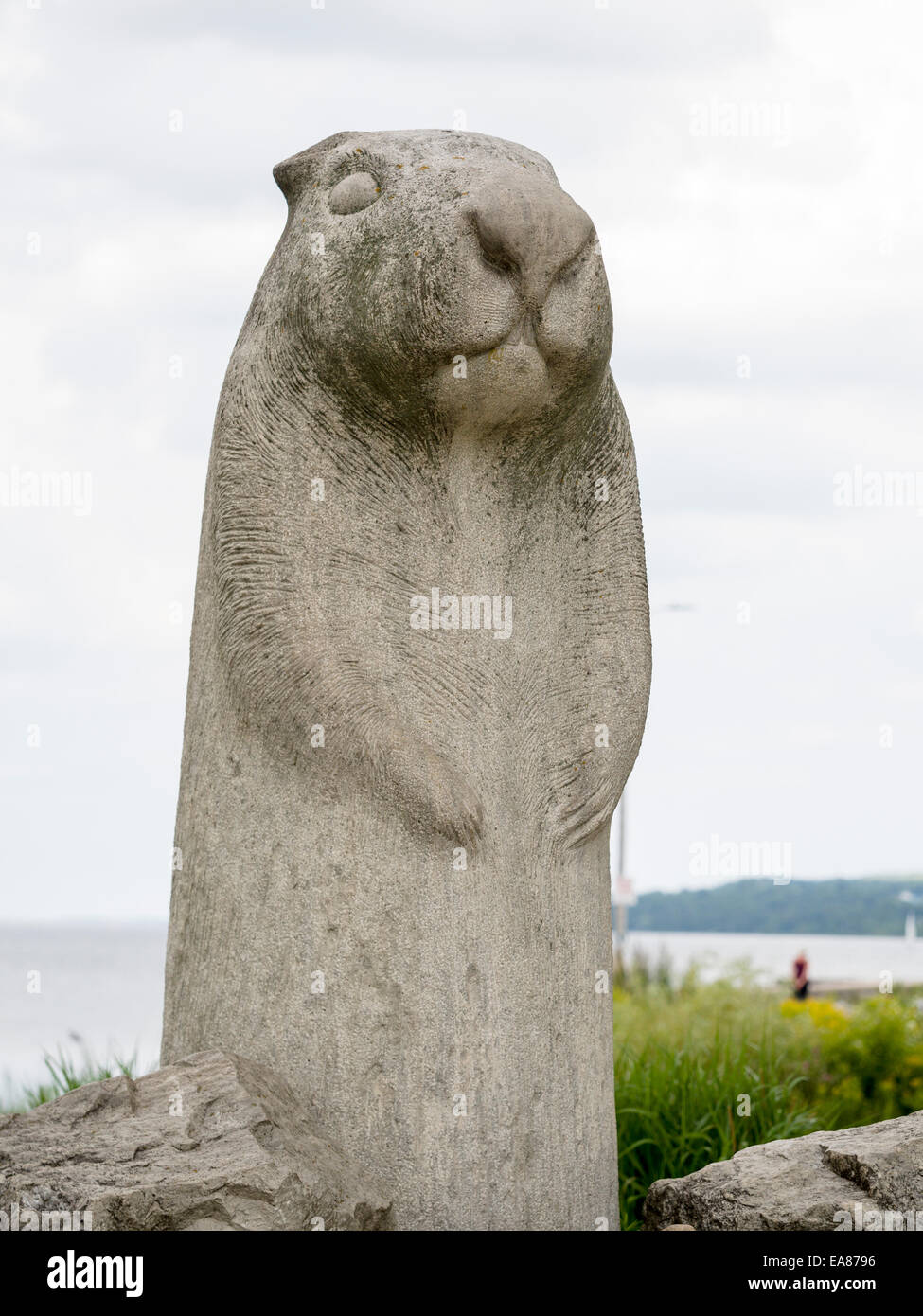 Weathered Wiarton Willy scultura. Scultore: Dave Robinson, Medio: Adair calcaree e dolomitiche, 1996 per il quarantesimo anniversario Foto Stock