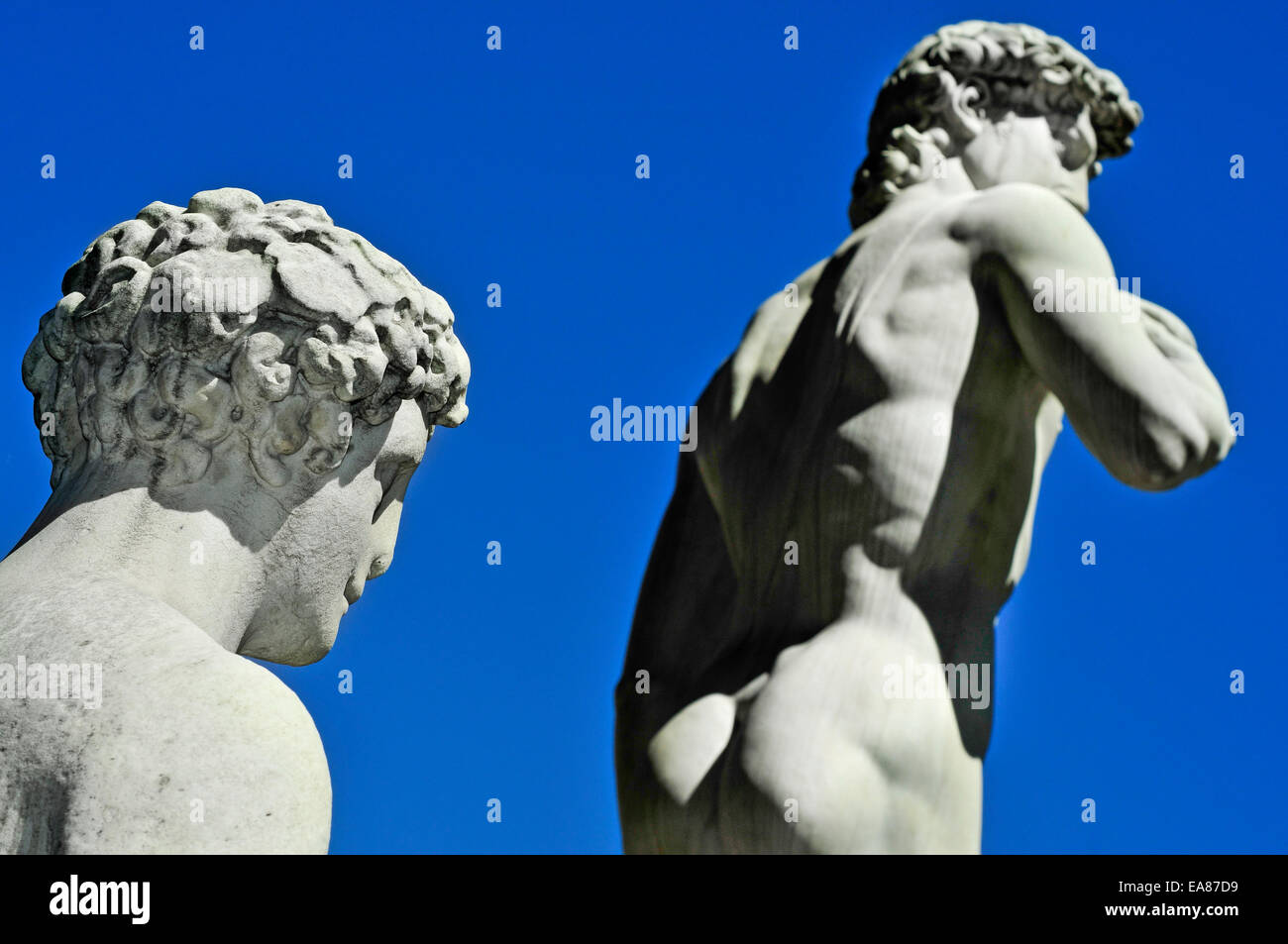 Vista laterale della replica del David di Michelangelo si trova in Piazza della Signoria a Firenze, Italia Foto Stock