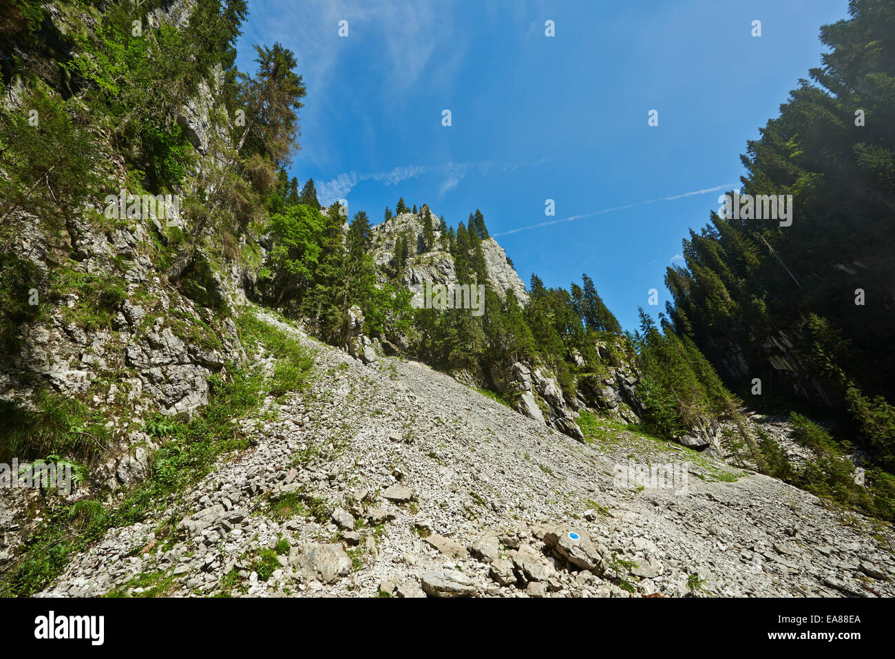 La scogliera di montagna con alberi di pino Foto Stock