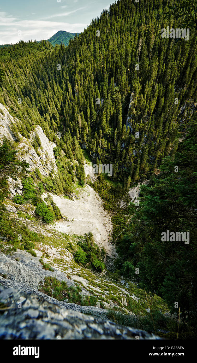 La scogliera di montagna con alberi di pino Foto Stock