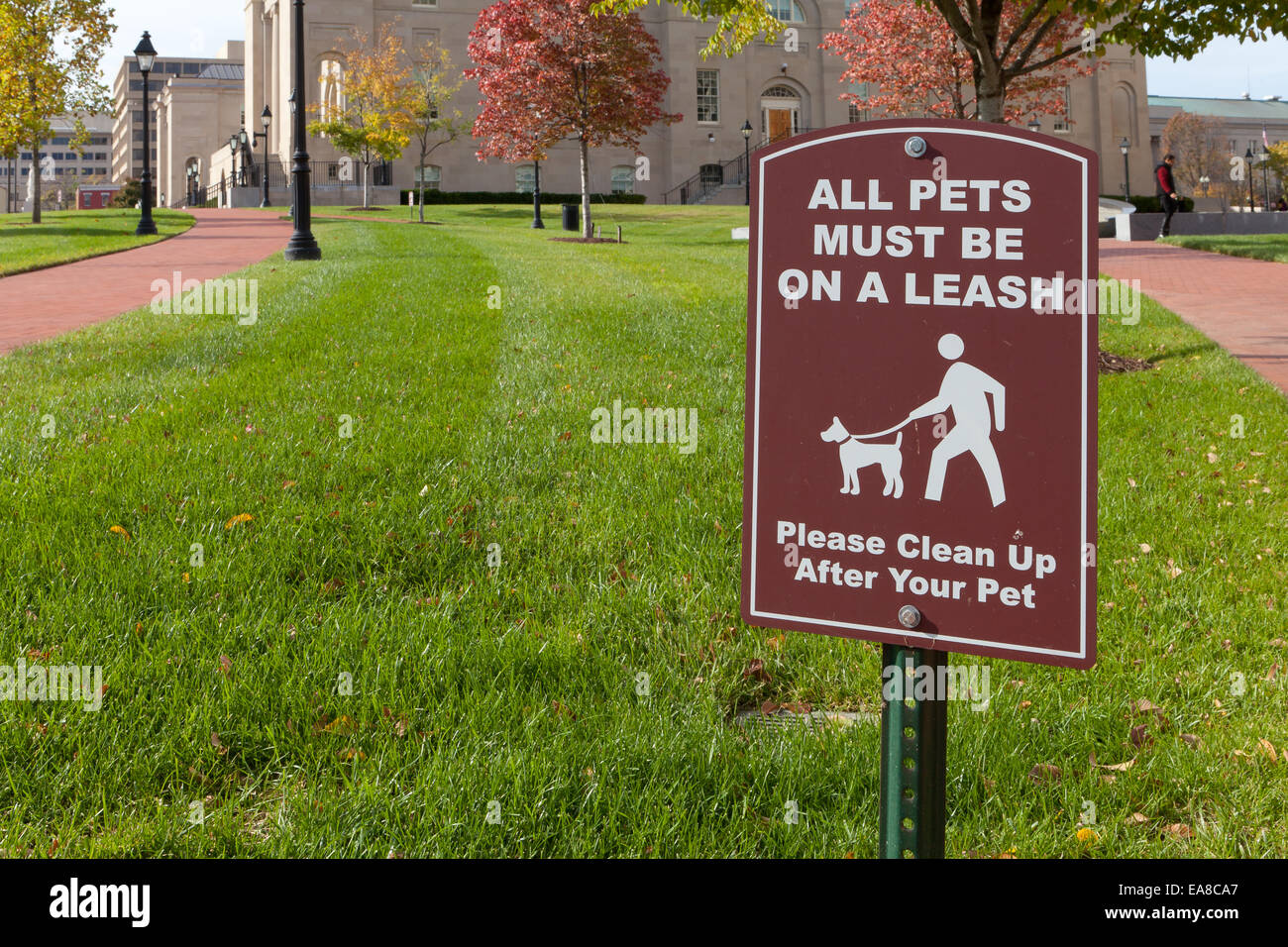 Segno di parcheggio - animali al guinzaglio - USA Foto Stock