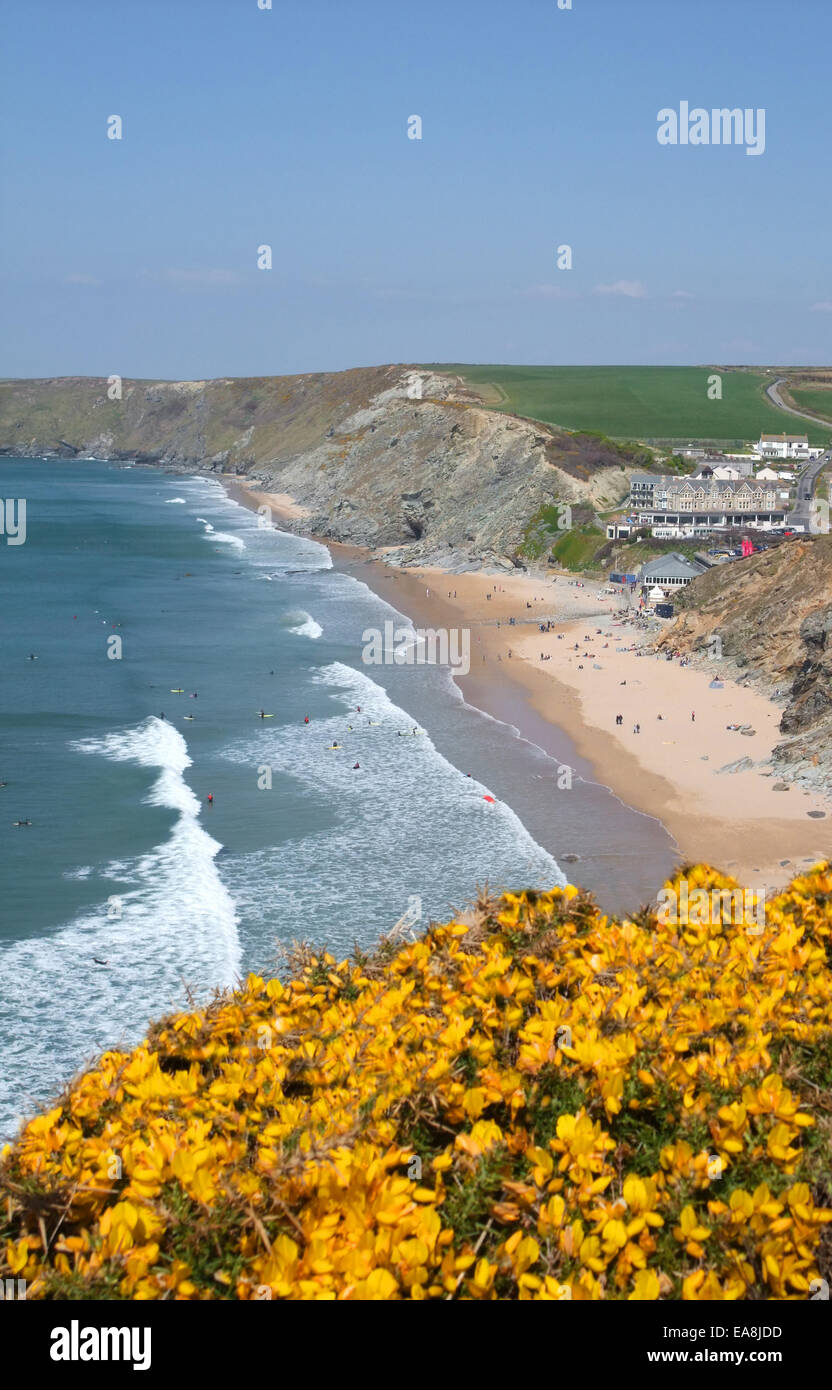 Vista da una scogliera di giallo fioritura gorse guardando giù in spiaggia con partecipanti sulla sabbia e nel mare surf Watergate Bay nei pressi di Newqu Foto Stock