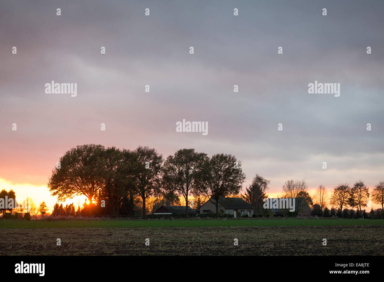 Tramonto in un area rurale con un prato di fronte durante la stagione autunnale Foto Stock