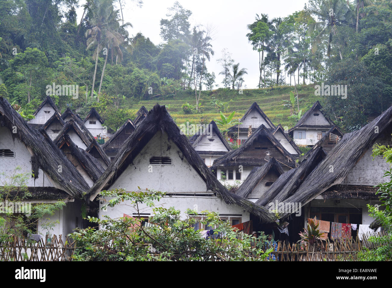Kampung Naga Village è l'antica e tradizionale villaggio protetto da Indonesia " Legge e sapienza locale Foto Stock