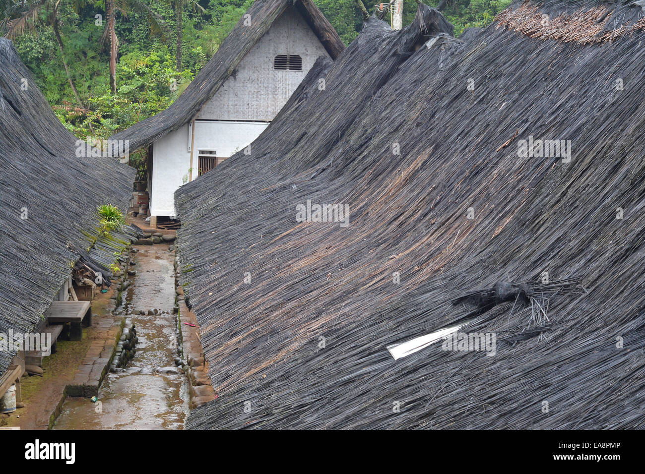 Il tetto di una casa tradizionale di Kampung Naga villaggio, costituito da fibre di Sugar Palm. Foto Stock