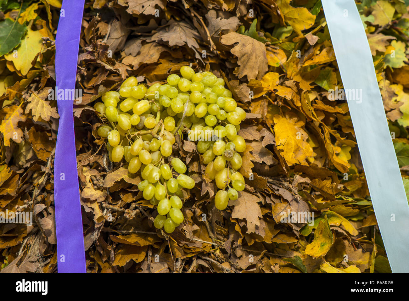 Tradizionale festa Hueter in Perchtoldsdorf, Bassa Austria, area di Vienna, Perchtoldsdorf Foto Stock