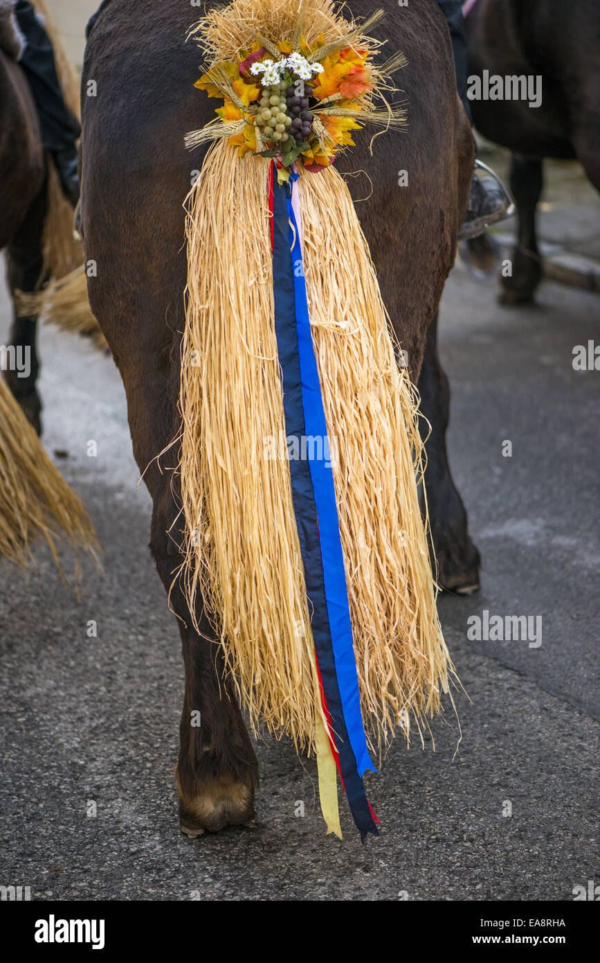 Tradizionale festa Hueter in Perchtoldsdorf, Bassa Austria, area di Vienna, Perchtoldsdorf Foto Stock