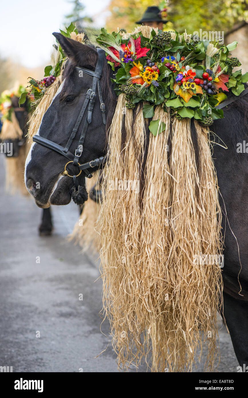 Tradizionale festa Hueter in Perchtoldsdorf, Bassa Austria, area di Vienna, Perchtoldsdorf Foto Stock
