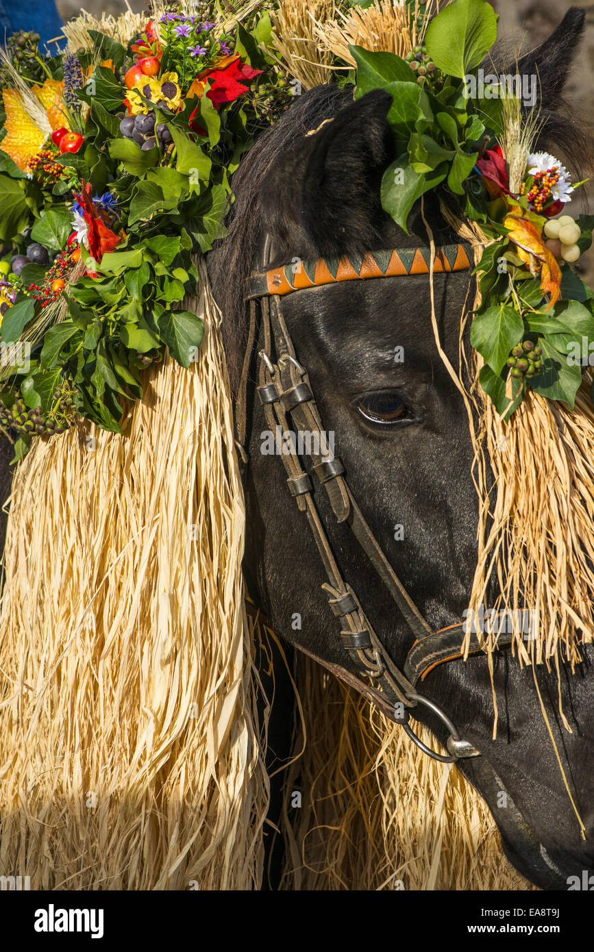 Tradizionale festa Hueter in Perchtoldsdorf, Bassa Austria, area di Vienna, Perchtoldsdorf Foto Stock