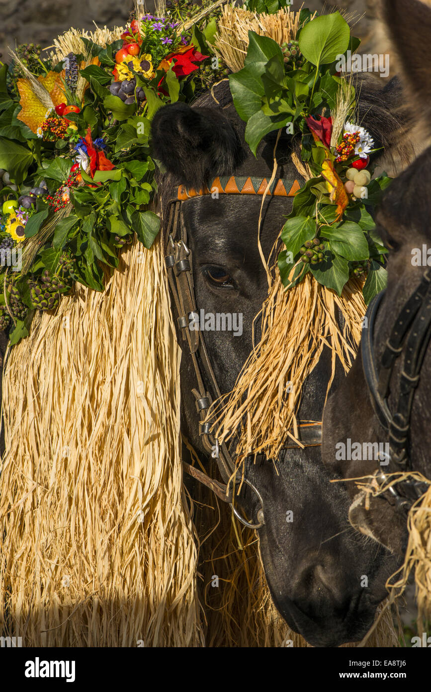 Tradizionale festa Hueter in Perchtoldsdorf, Bassa Austria, area di Vienna, Perchtoldsdorf Foto Stock