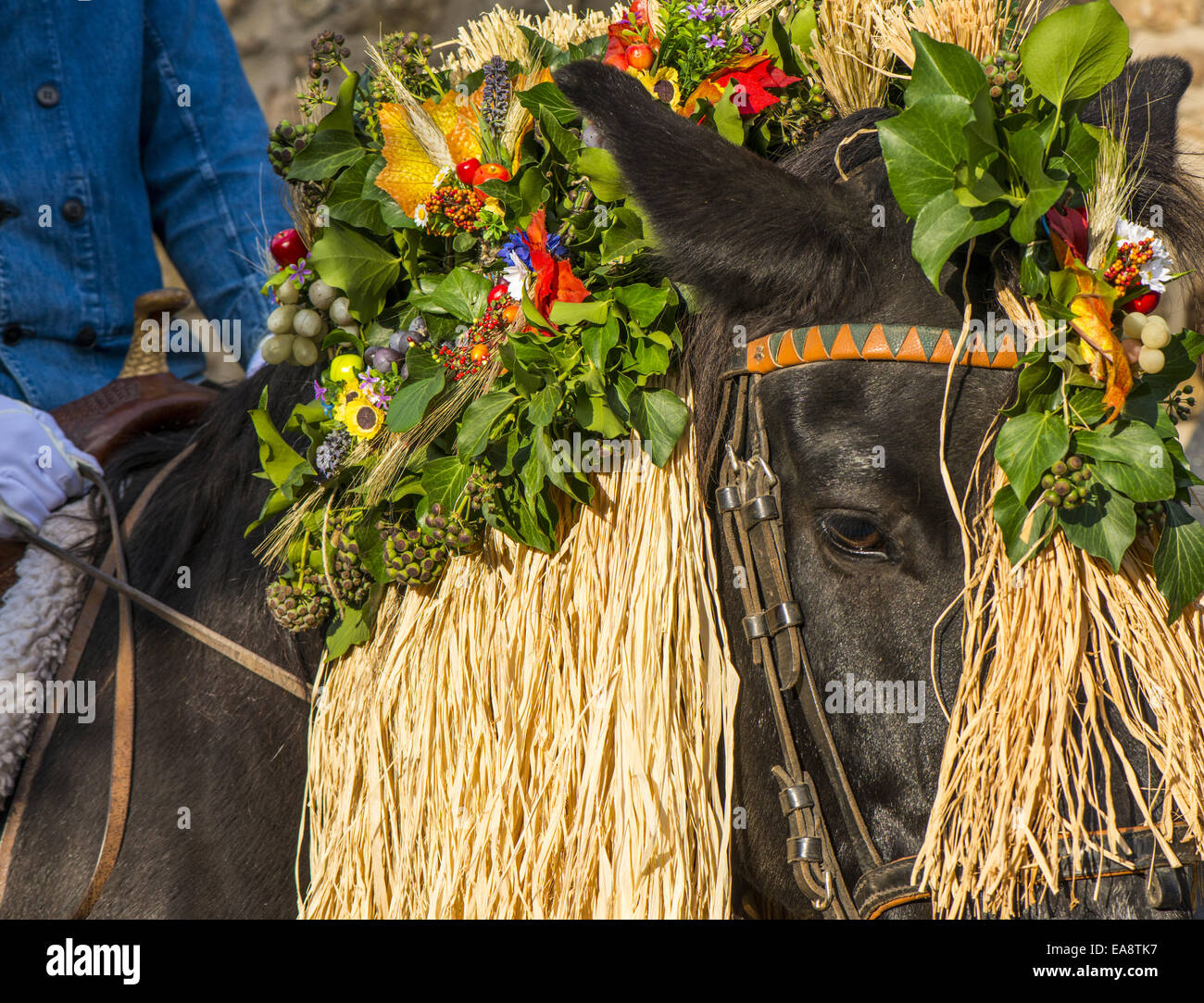 Tradizionale festa Hueter in Perchtoldsdorf, Bassa Austria, area di Vienna, Perchtoldsdorf Foto Stock