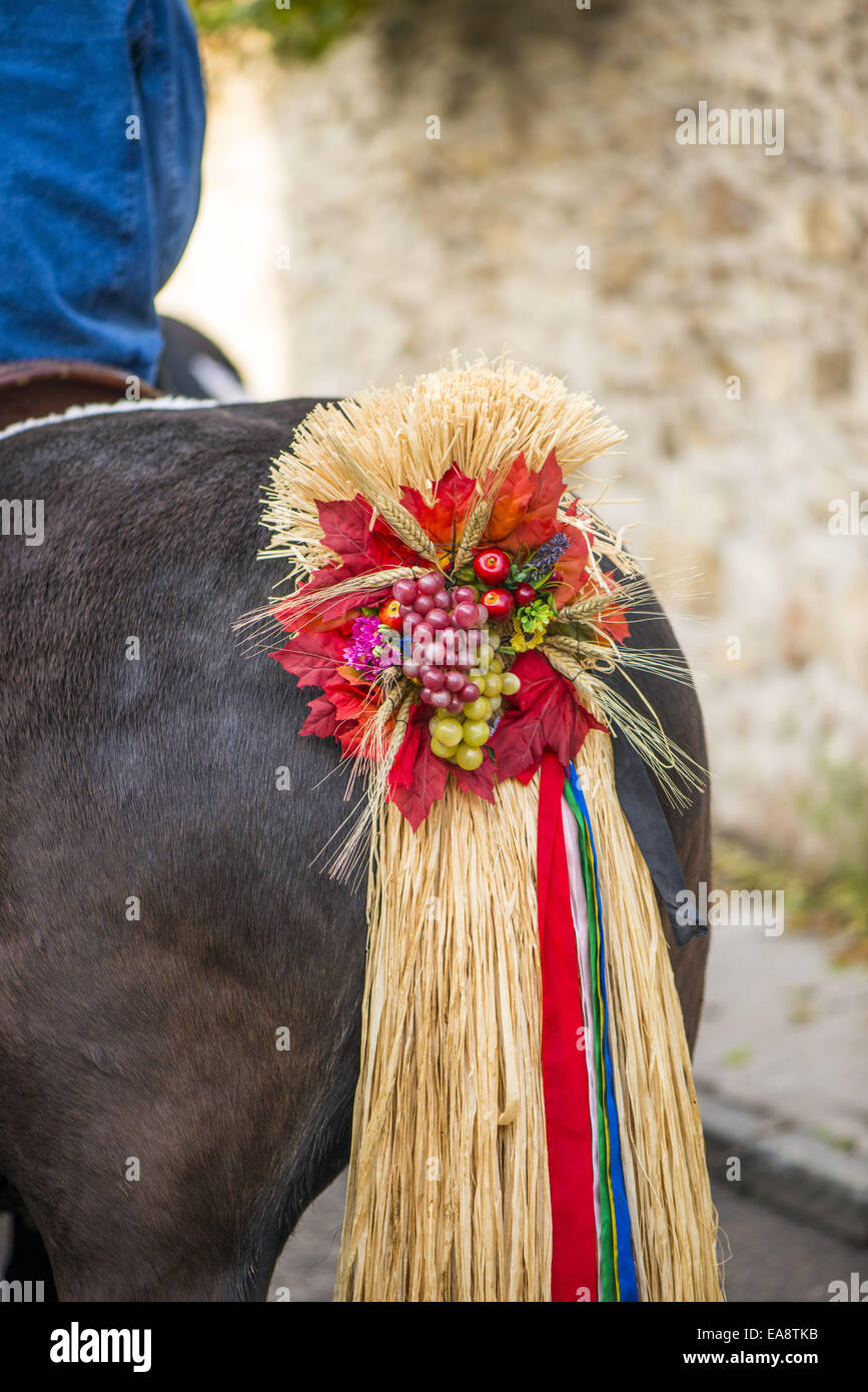 Tradizionale festa Hueter in Perchtoldsdorf, Bassa Austria, area di Vienna, Perchtoldsdorf Foto Stock