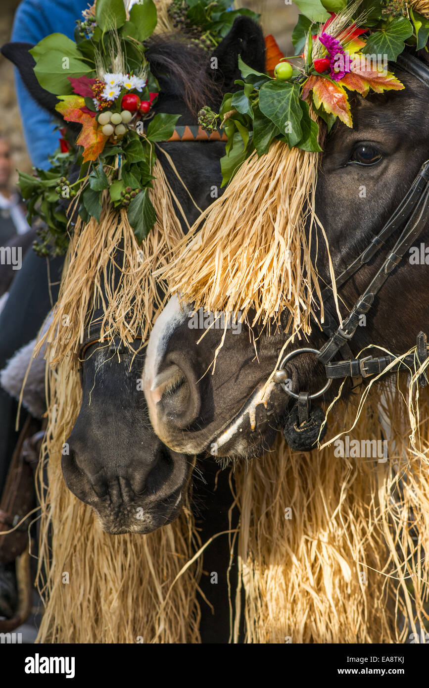 Tradizionale festa Hueter in Perchtoldsdorf, Bassa Austria, area di Vienna, Perchtoldsdorf Foto Stock