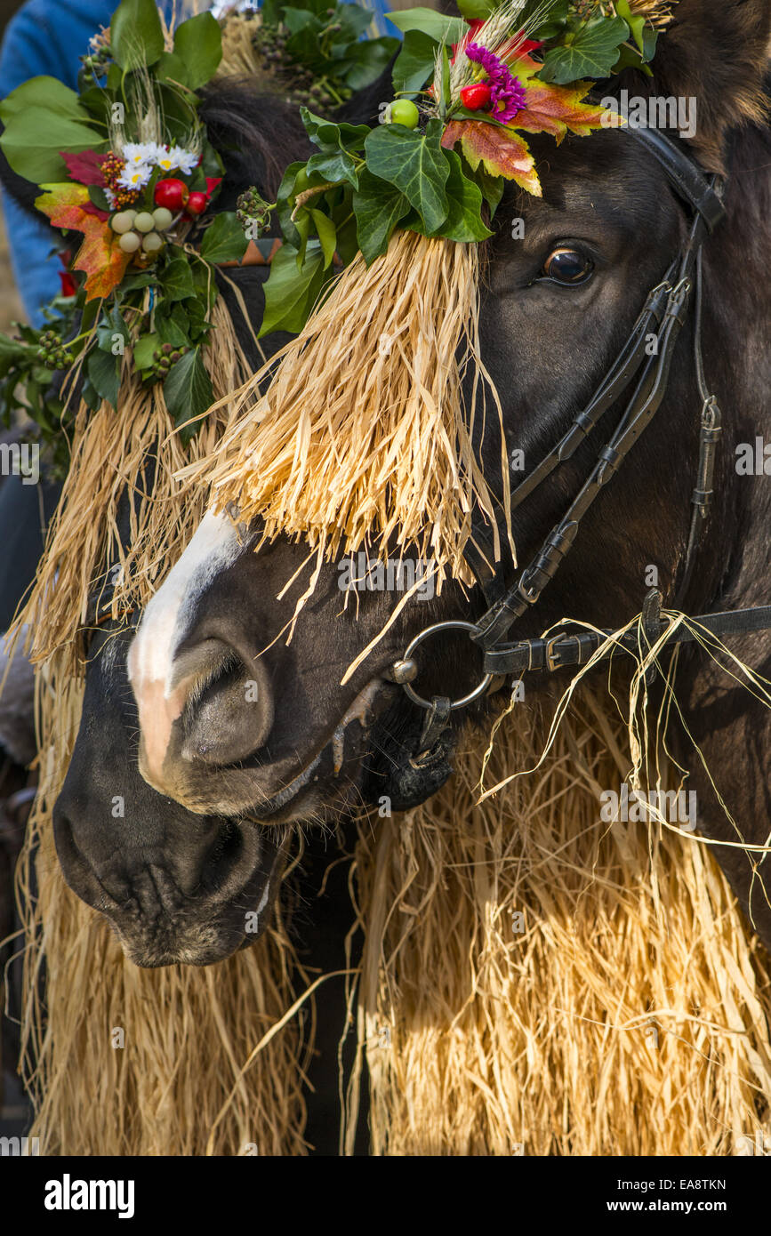 Tradizionale festa Hueter in Perchtoldsdorf, Bassa Austria, area di Vienna, Perchtoldsdorf Foto Stock
