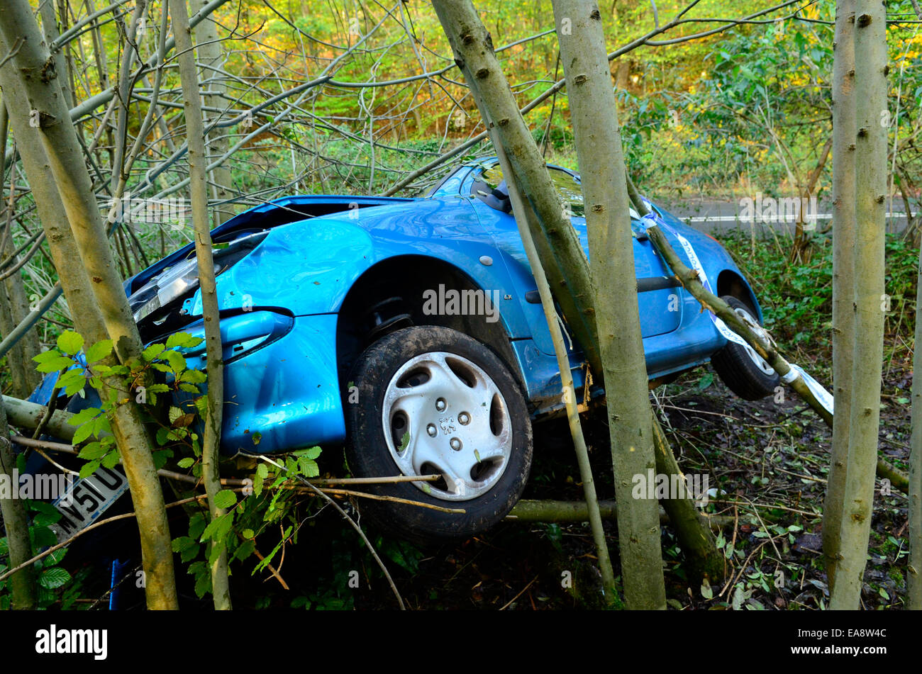 Una vettura dopo il crash finisce in alberi a Clarken Coombe Long Ashton zona vicino a Bristol. Le lesioni non noto. ROBERT TIMONEY/AlamyLiveNews. Foto Stock