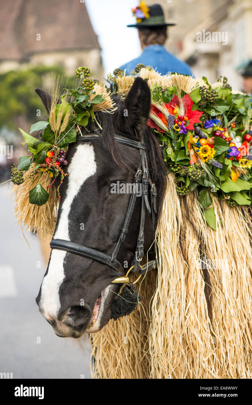 Tradizionale festa Hueter in Perchtoldsdorf, Bassa Austria, area di Vienna, Perchtoldsdorf Foto Stock