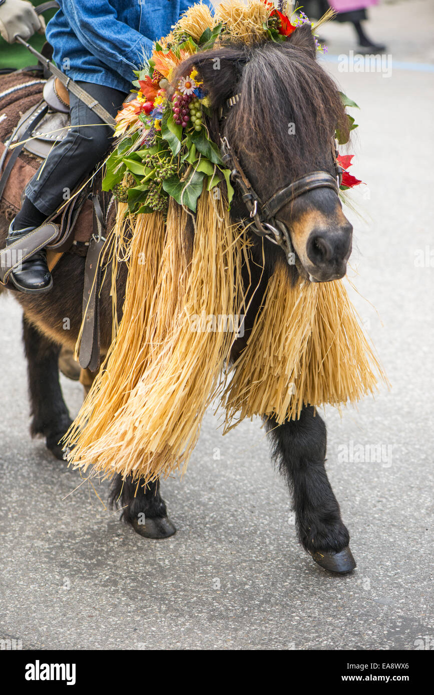 Tradizionale festa Hueter in Perchtoldsdorf, Bassa Austria, area di Vienna, Perchtoldsdorf Foto Stock