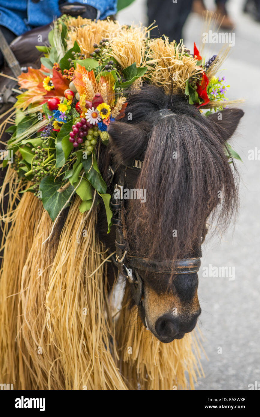 Tradizionale festa Hueter in Perchtoldsdorf, Bassa Austria, area di Vienna, Perchtoldsdorf Foto Stock