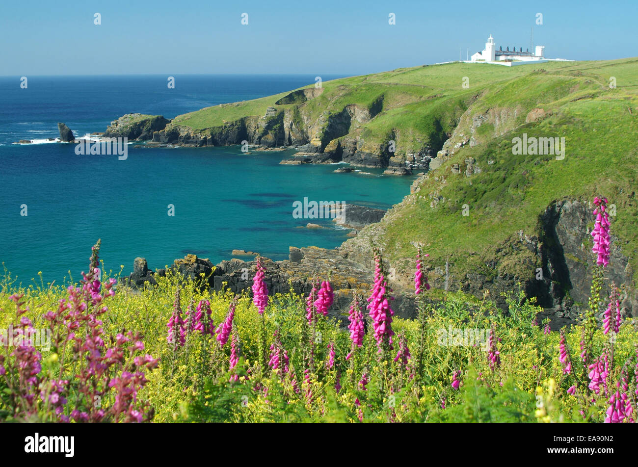 Housel Bay sulla penisola di Lizard con vista al faro di lucertola Kerrier South West Cornwall South West England Regno Unito Foto Stock