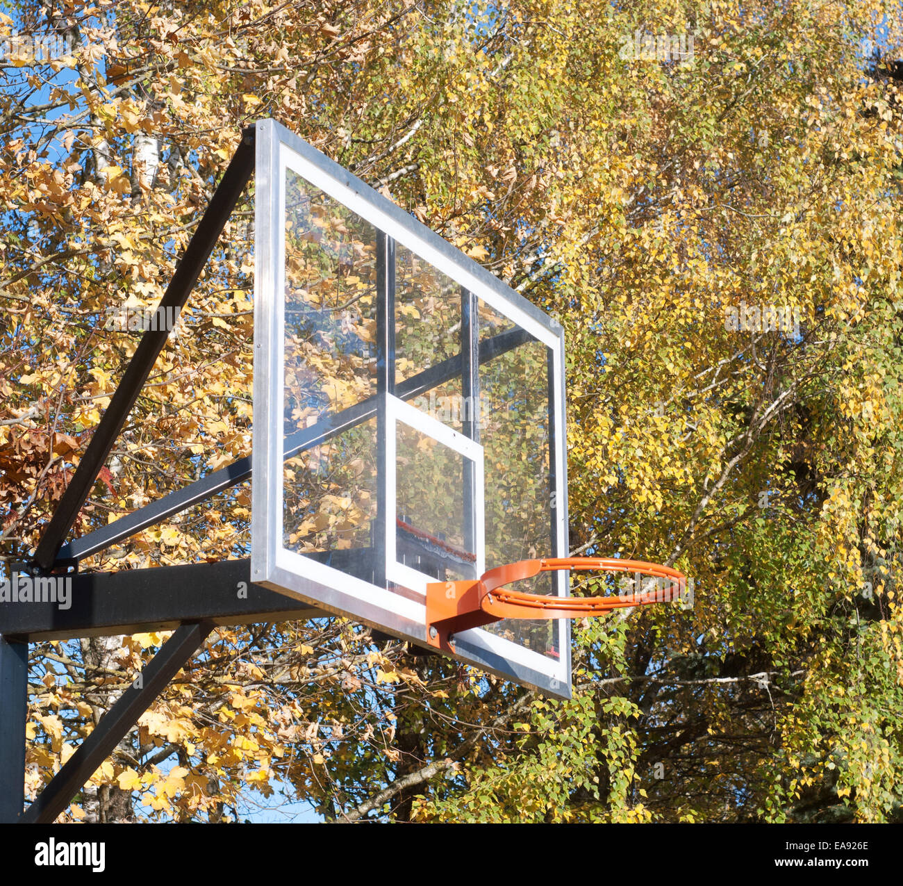 Scheda di basket in autunno Foto Stock