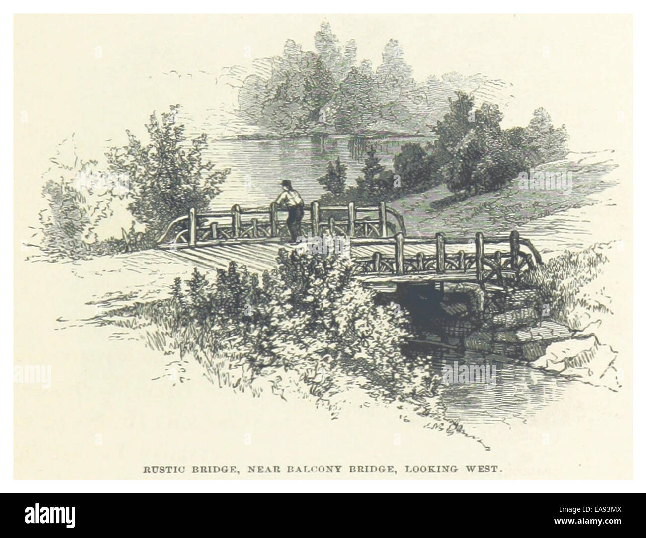 Questo ingresso del 1869 dalla storia di Central Park presenta il Rustic Bridge, situato vicino al Balcony Bridge, che offre una vista pittoresca che guarda a ovest attraverso il paesaggio del parco. Foto Stock