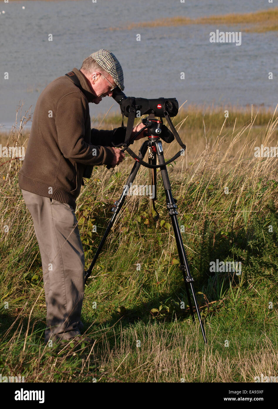 Senior Citizen bird watching usando un ambito, Instow, Devon, Regno Unito Foto Stock