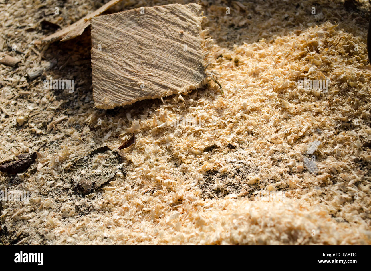 Close up di segatura di legno Foto Stock