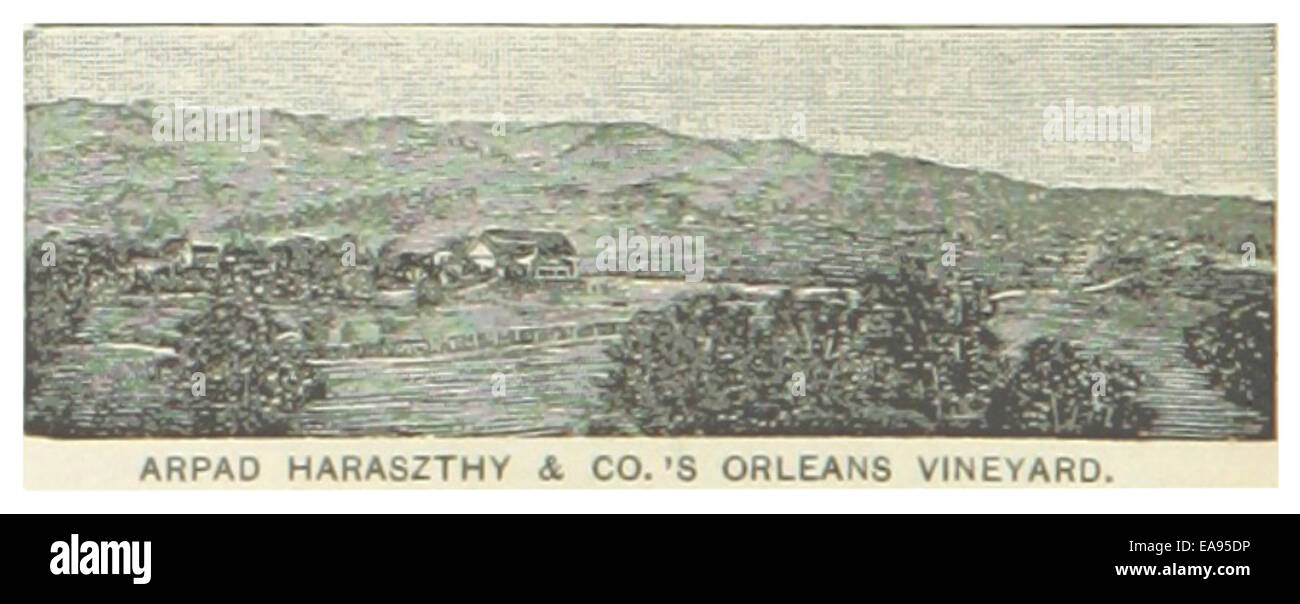 Questa illustrazione del 1891 mostra Arpad Haraszthy & Company Vineyards in California, che era nota per il suo ruolo nel primo sviluppo dell'industria vinicola della California. L’immagine evidenzia la posizione del vigneto e la sua importanza per l’economia locale e la crescita agricola. Foto Stock
